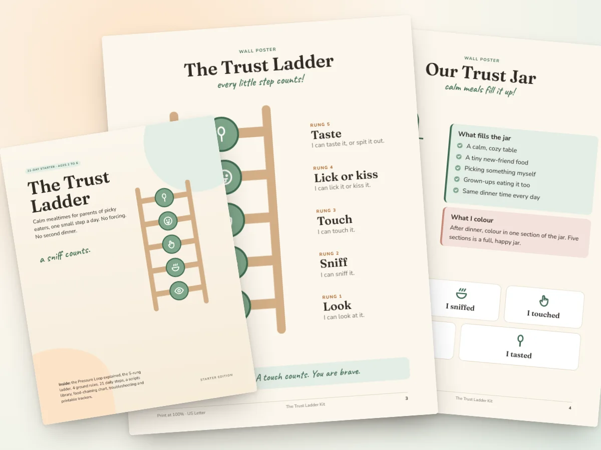 Trust Ladder wall poster, rung badges and the Starter Guide cover